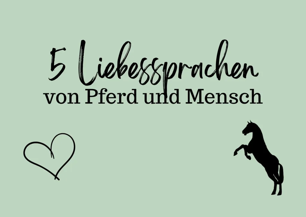 Welche Liebessprache sprichst du mit deinem Pferd?
