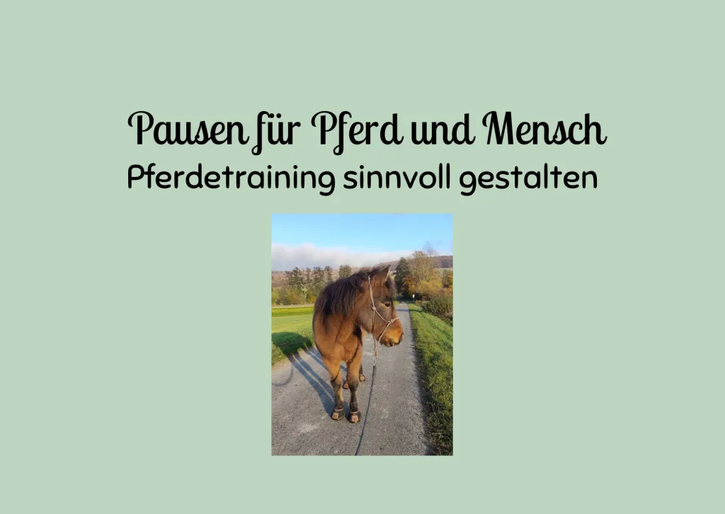 Pausen für Pferd und Mensch: Pferdetraining sinnvoll gestalten