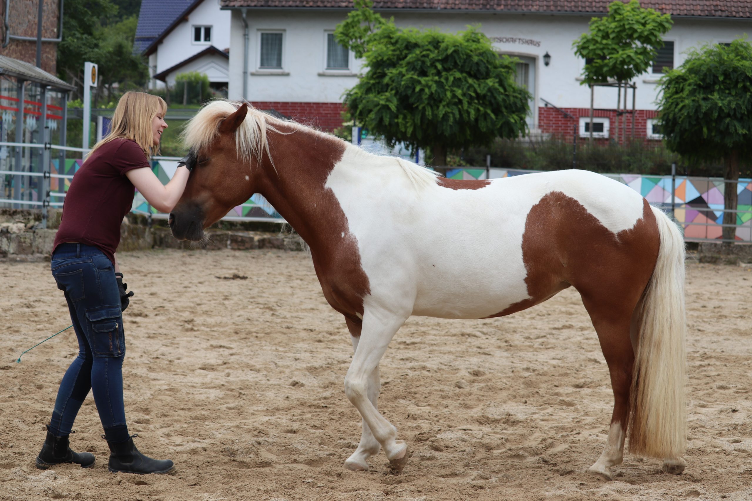 Doppelmoral im Umgang mit dem Pferd