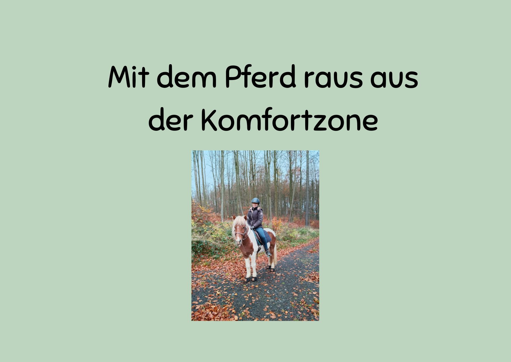 Mit dem Pferd raus aus der Komfortzone